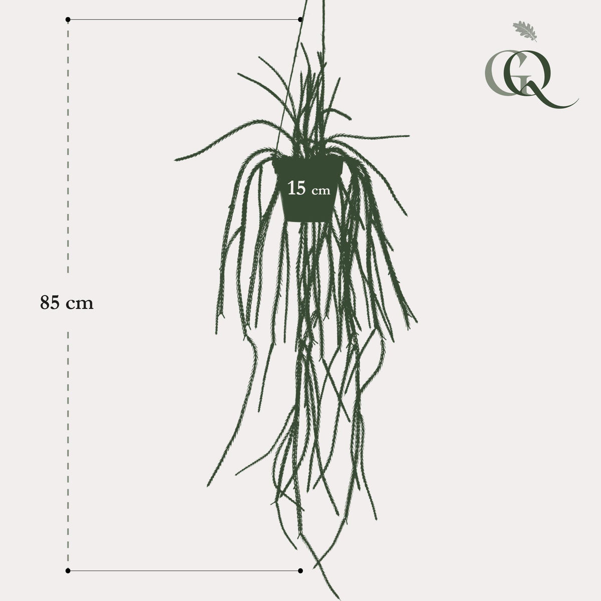 Productafbeelding van Pureplant