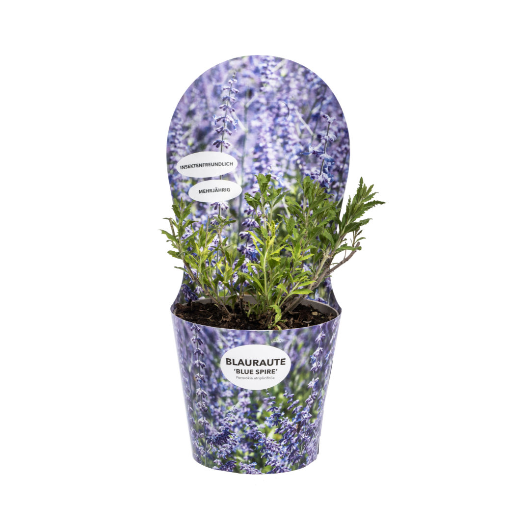 Productafbeelding van Pureplant