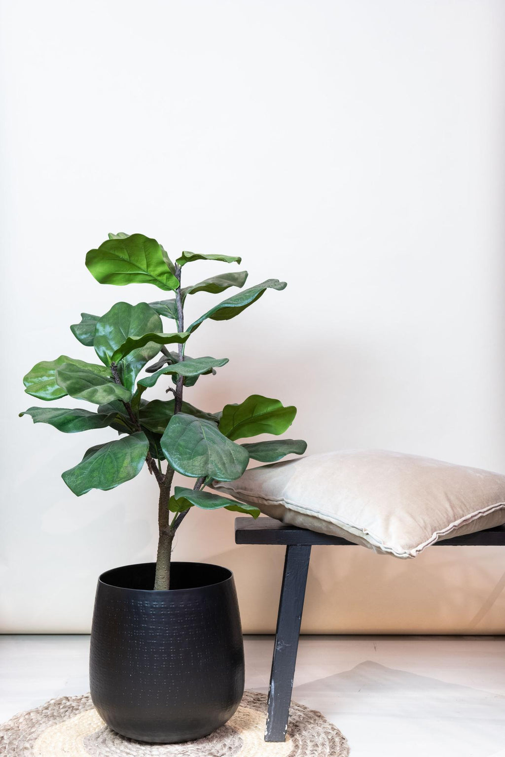 Productafbeelding van Pureplant