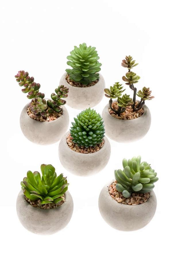 Kunst mini vetplanten in cementen pot - Succulent mix set 6, detail van het blad