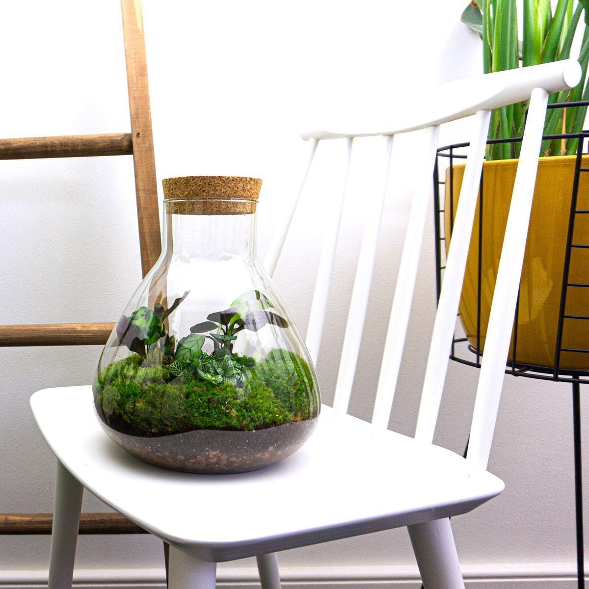 Detailfoto van DIY terrarium - Sammie Calathea - Met hark en schep