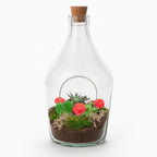 Love in a Bottle - DIY Open Planten terrarium, gezonde plant