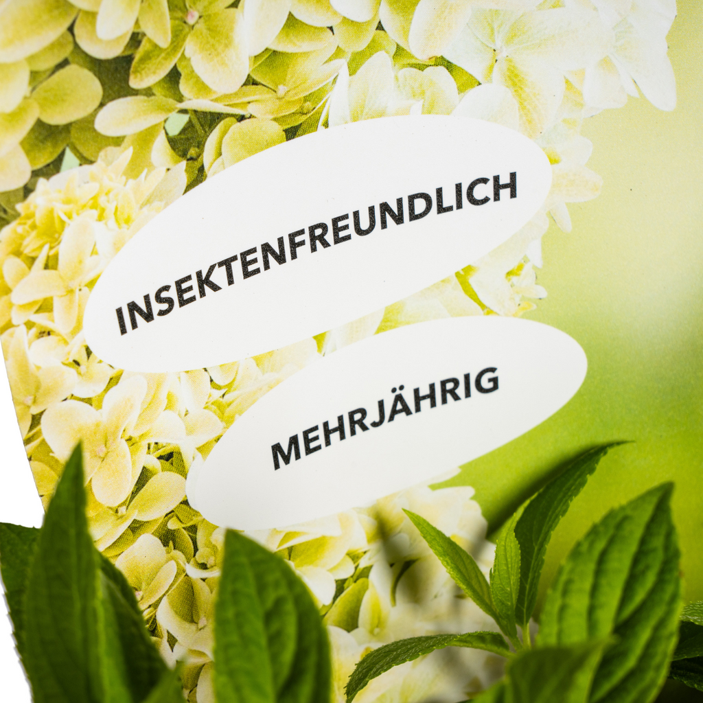 Productafbeelding van Pureplant