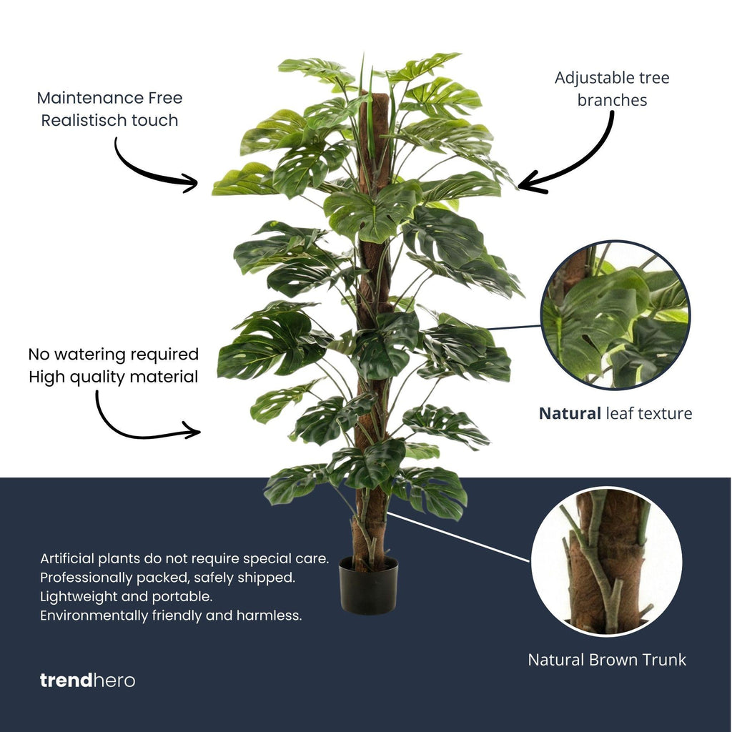 Monstera on pole, groeiwijze van de plant