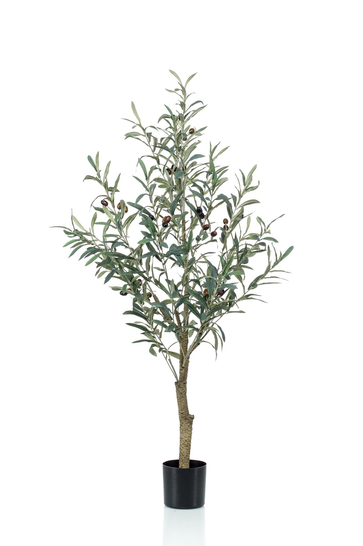Productafbeelding van Pureplant
