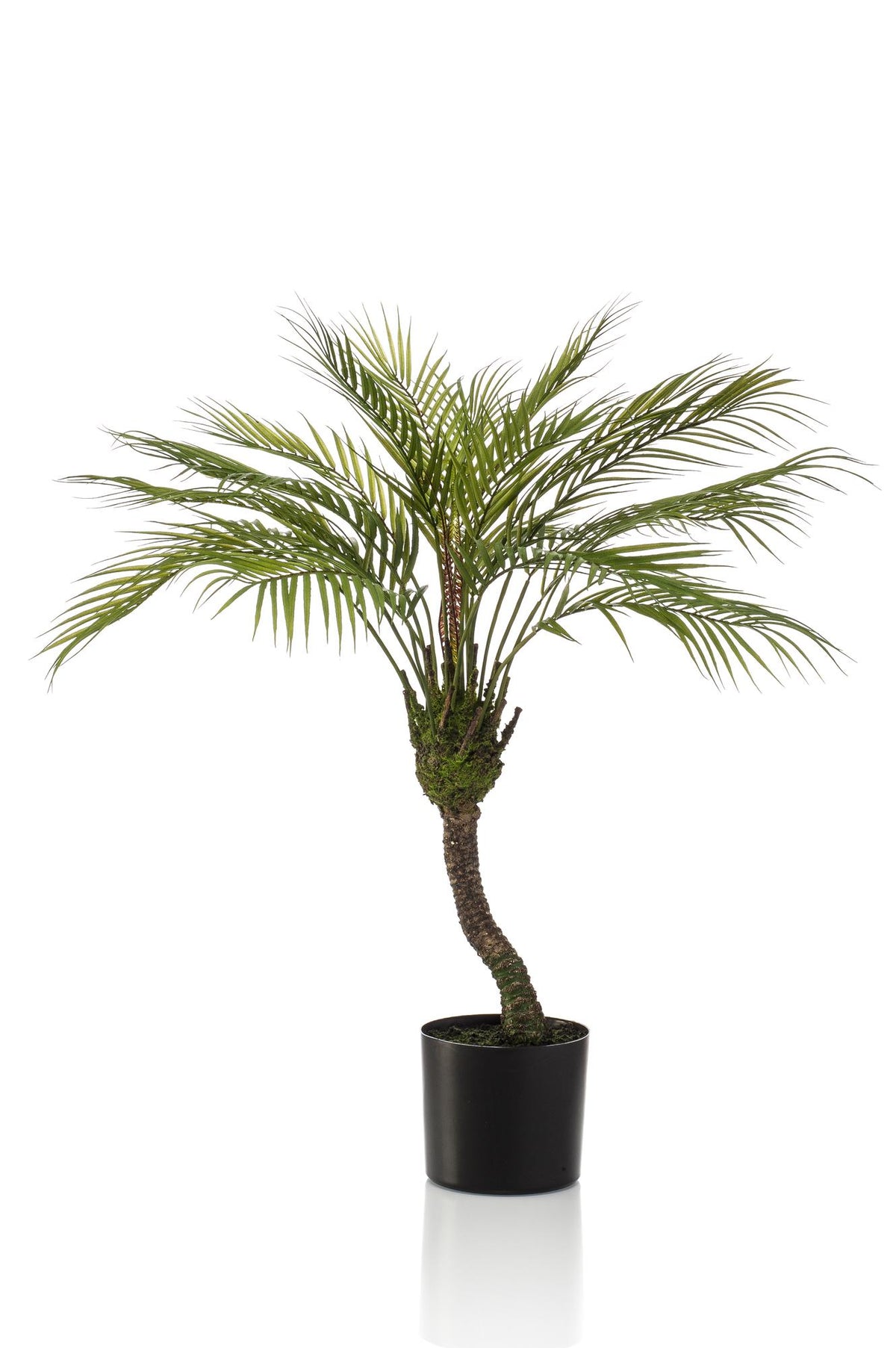 Kunstplant Chamaedorea, bergpalm met veerachtig blad, 85 cm, plant in pot