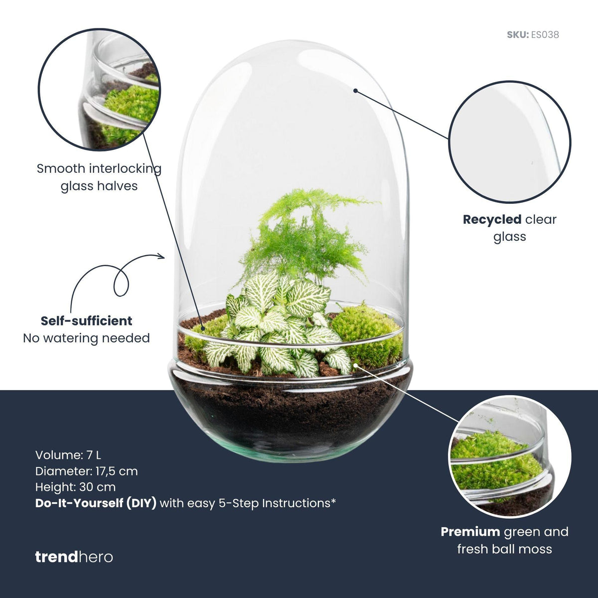 Detailfoto van DIY Planten terrarium tweedelig bolglas - Egg XL