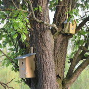 Observatienestkast voor tuinvogels, weerbestendig vogelhuis