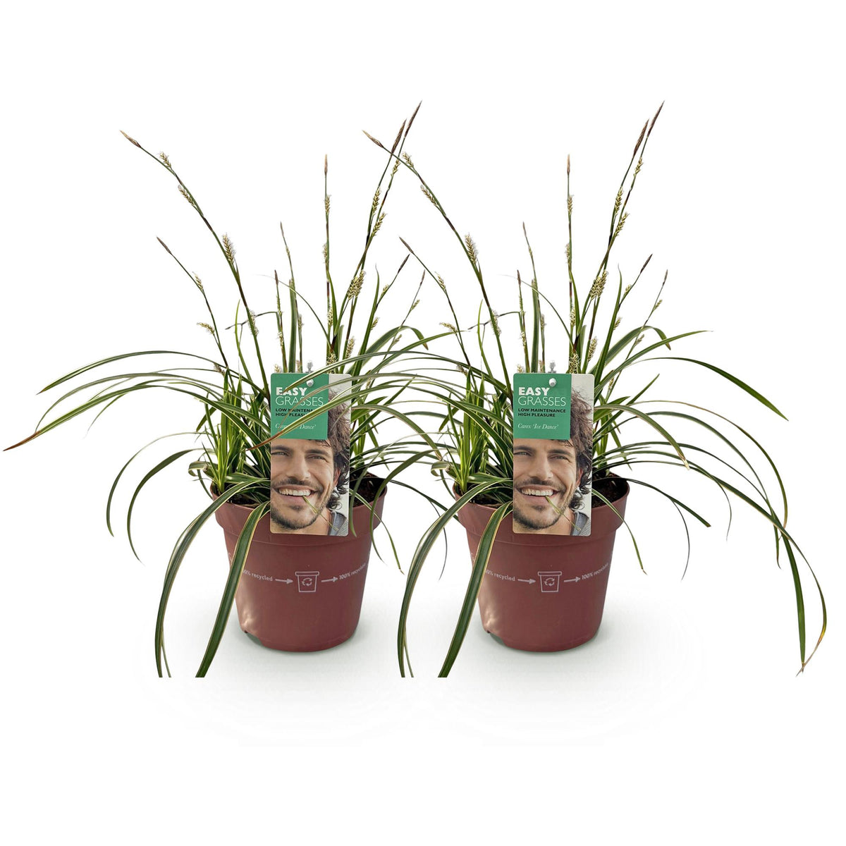 Productafbeelding van Pureplant