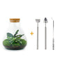 DIY terrarium - Sammie Calathea - Met hark, schep en pincet