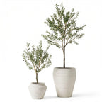 Kunst olijfboom in pot, kenmerkend blad