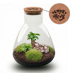 'Love Mom' terrarium Sam met gegraveerde kurk en licht, detail van het blad