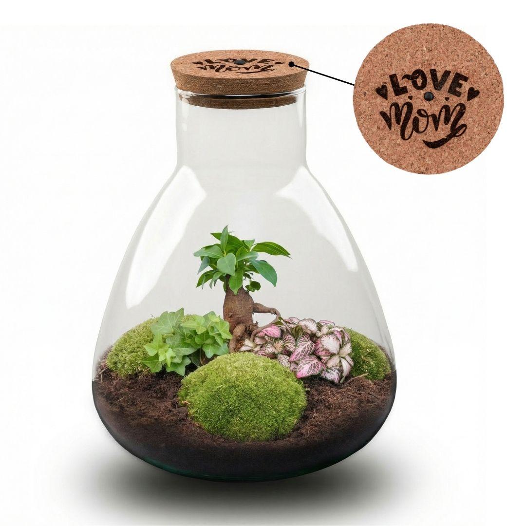 'Love Mom' terrarium Sam met gegraveerde kurk en licht, detail van het blad