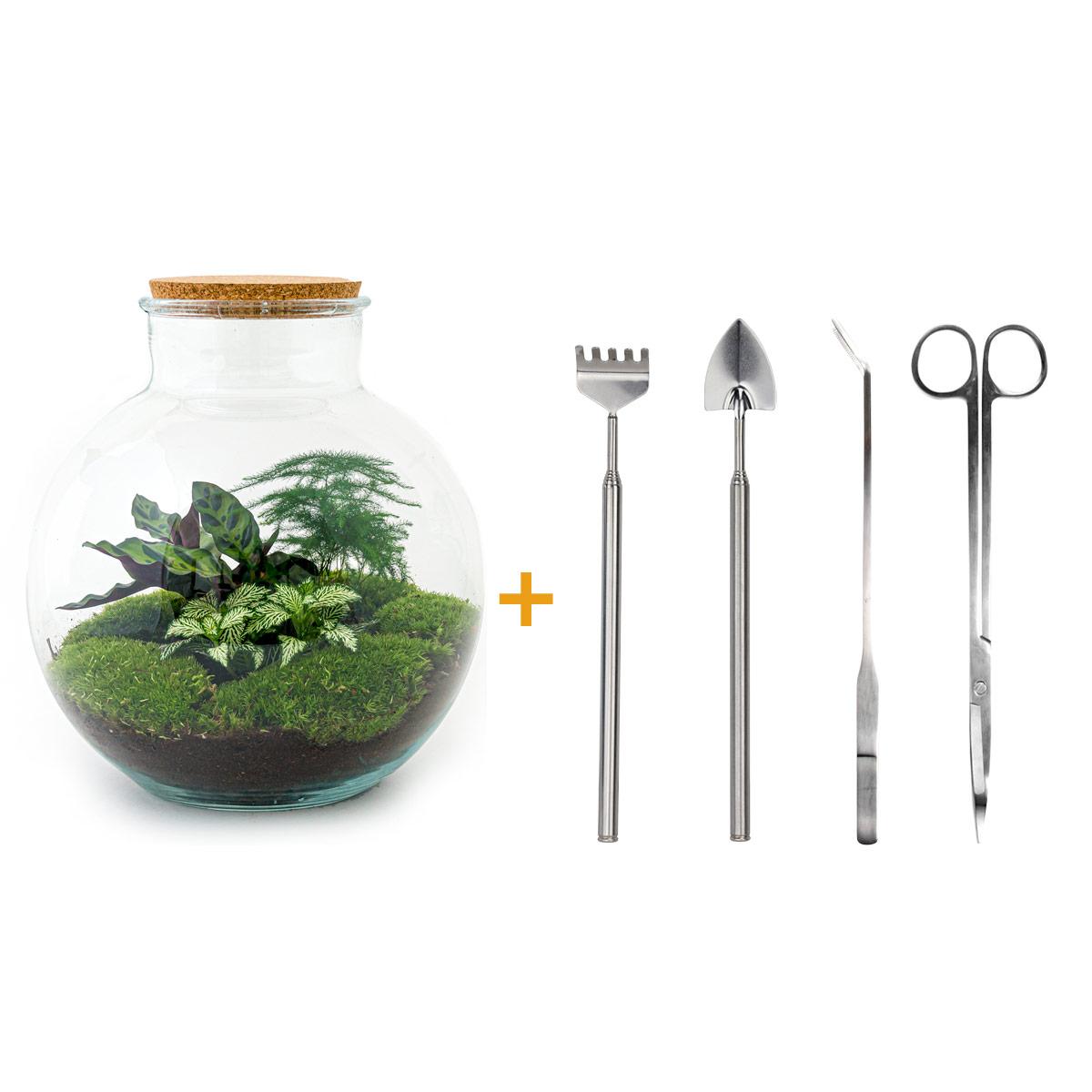 Detailfoto van DIY terrarium Bolder Bob met licht, compleet gereedschap