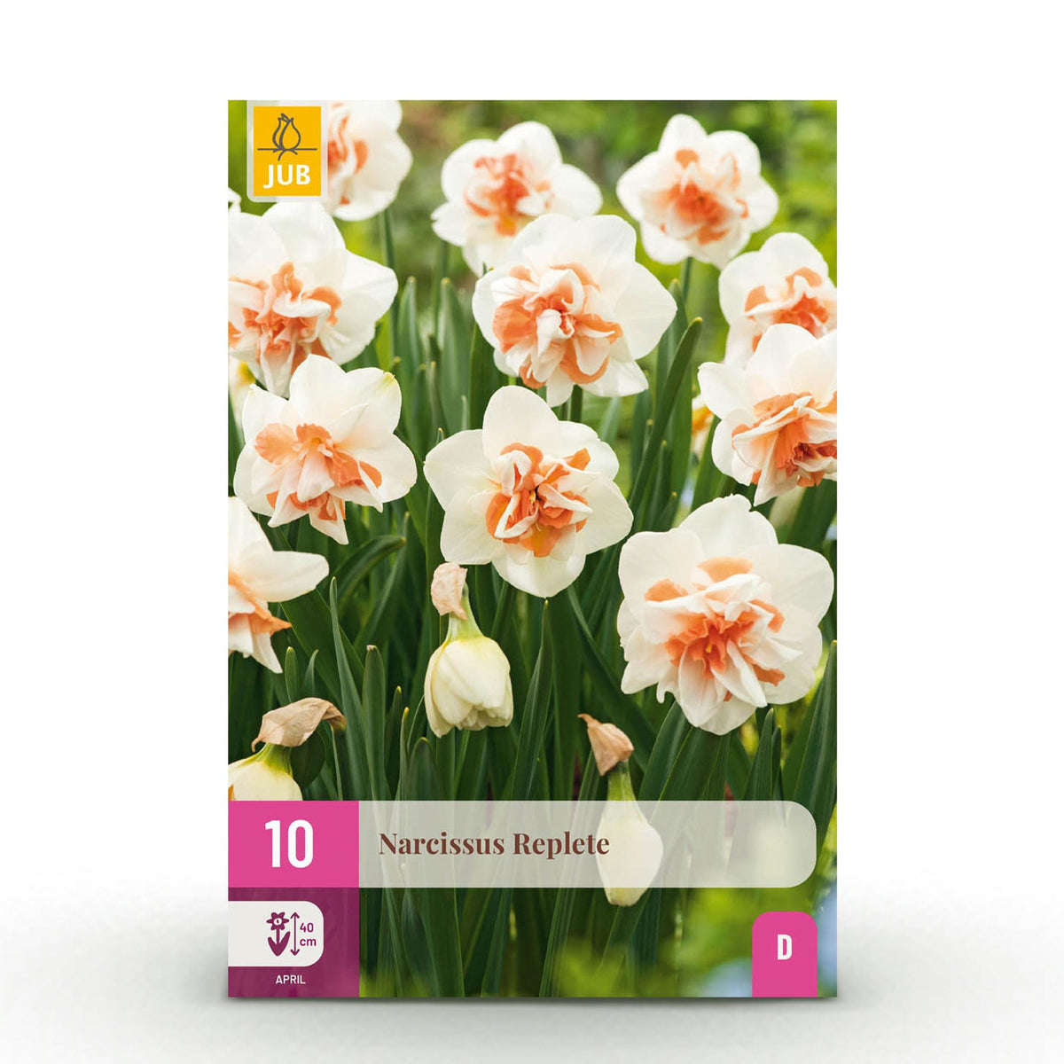 Narcis Replete, detail van het blad