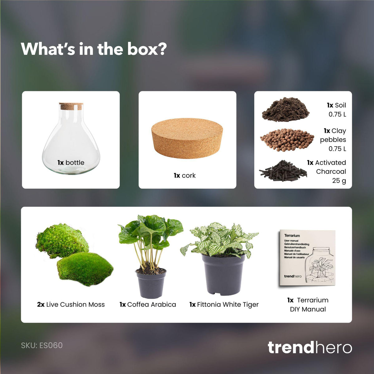 Detailfoto van DIY Planten terrarium - Sammie Coffea White