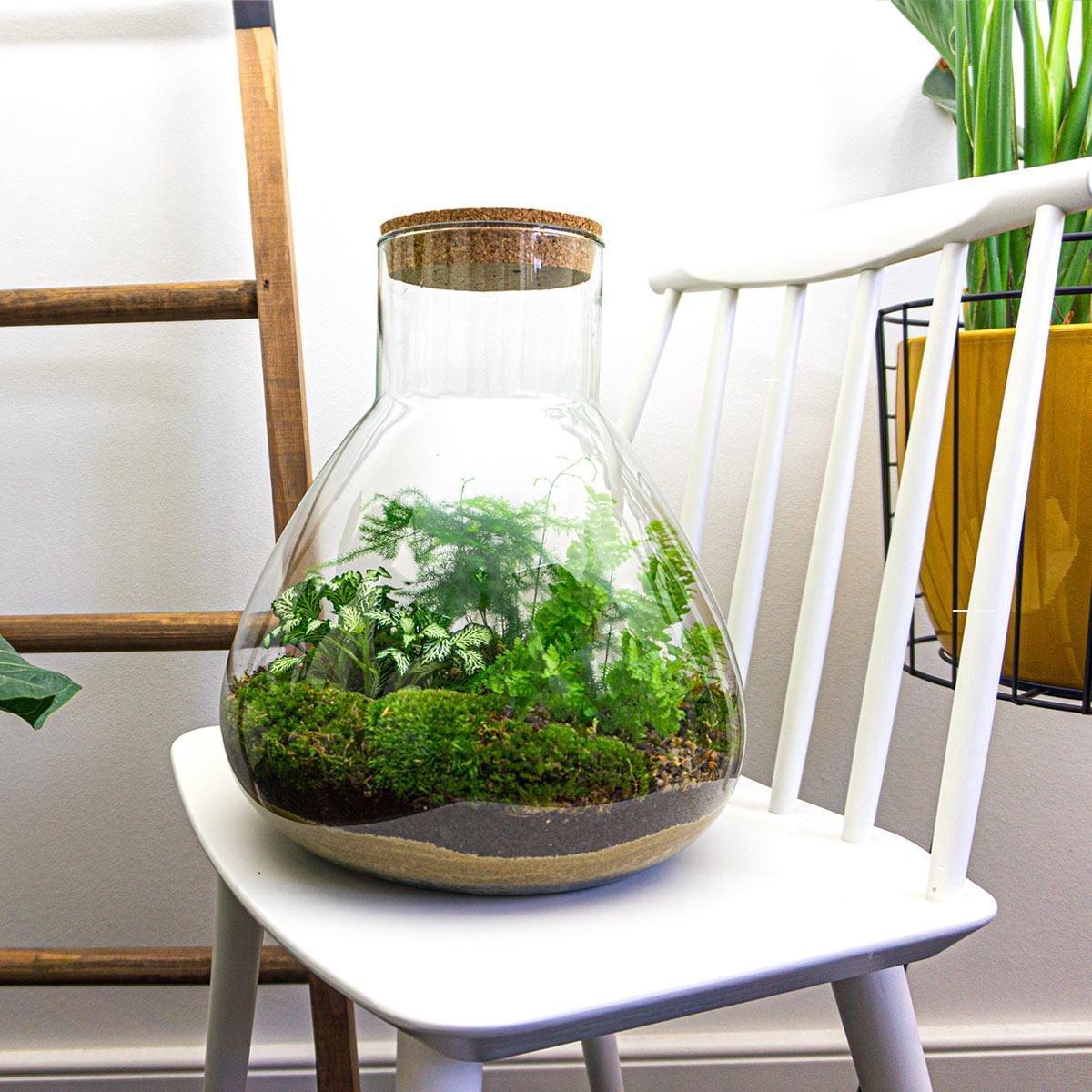 Detailfoto van DIY terrarium Sam XL Green met licht, compleet gereedschap