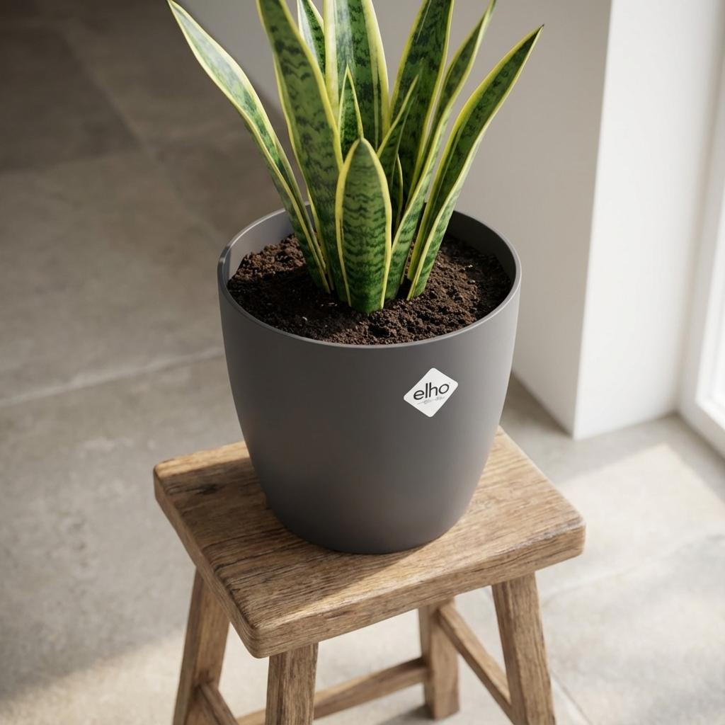 Elho Brussels ronde bloempot, antraciet, Ø25 cm, groene bladeren