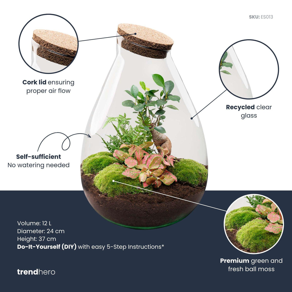 Detailfoto van DIY terrarium Drop XL Bonsai Red, zonder gereedschap