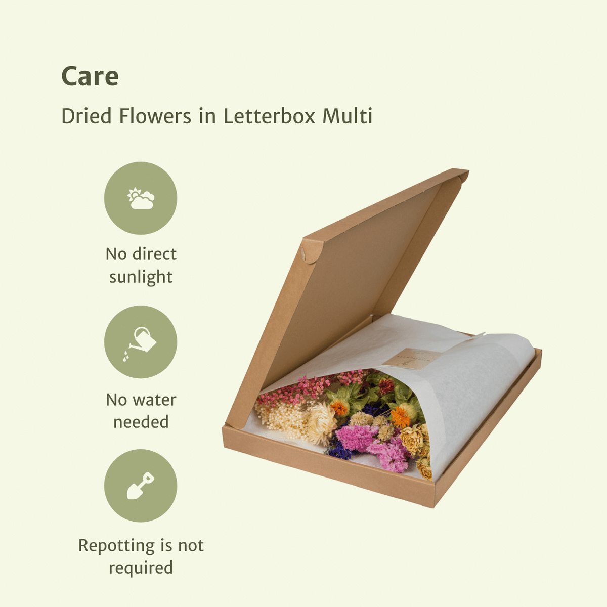 Detailfoto van Droogbloemen in Letterbox - Multi