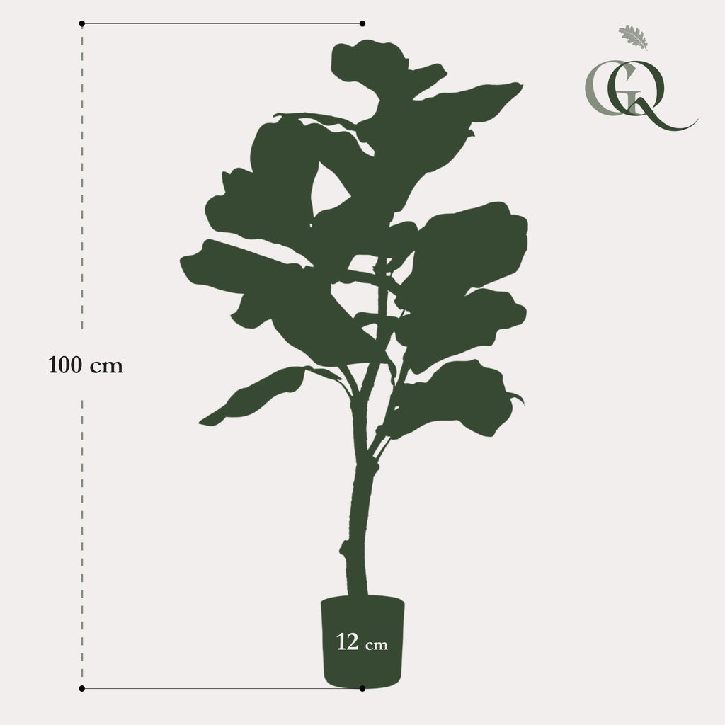 Productafbeelding van Pureplant