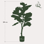 Productafbeelding van Pureplant