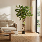 Ficus Liana Kunstboom