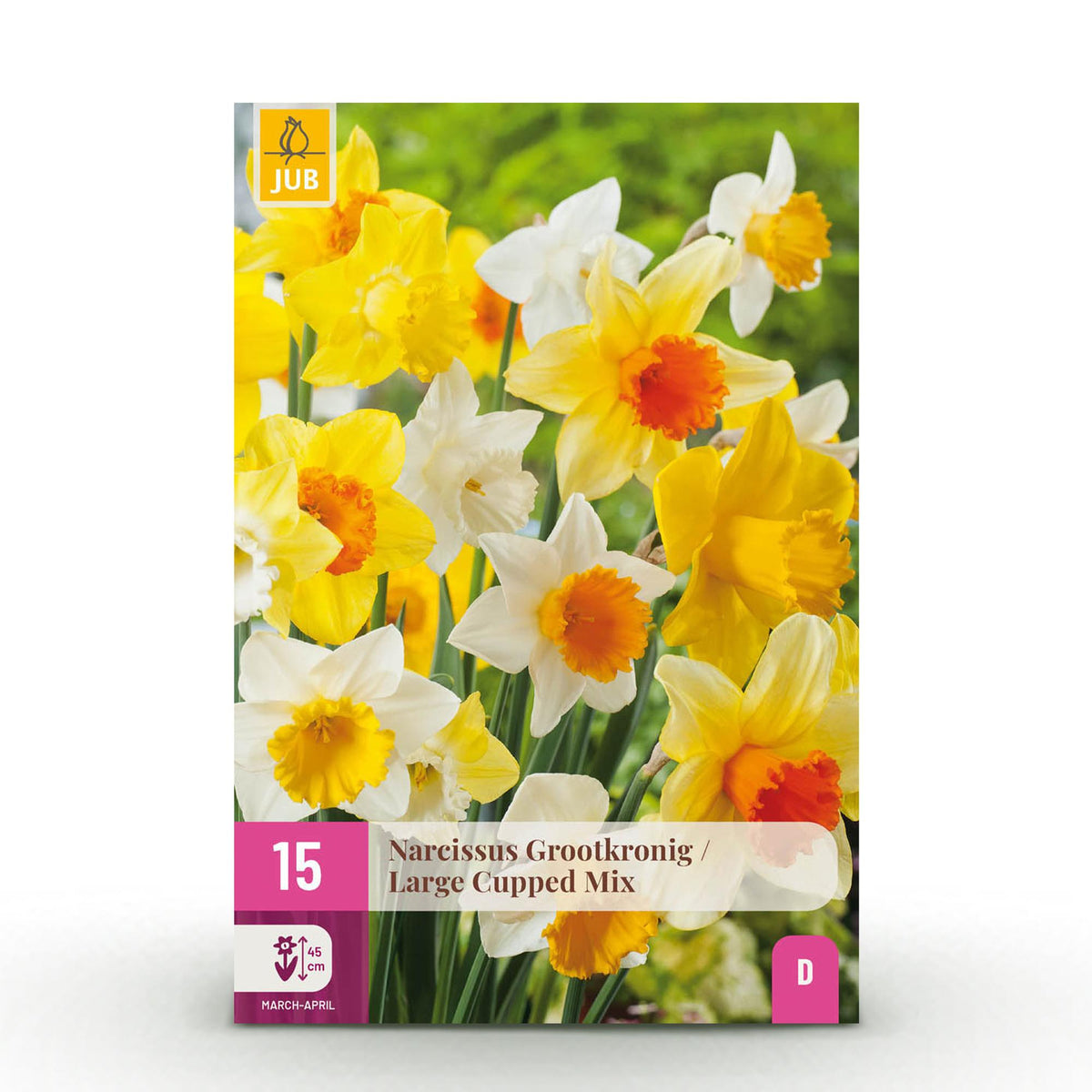 Narcis Large Cupped mix, detail van het blad