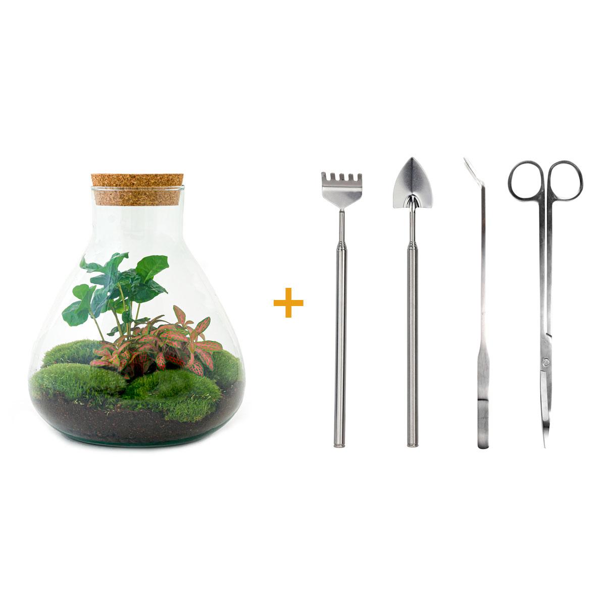 Productafbeelding van Pureplant