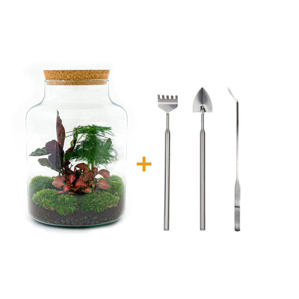Detailfoto van DIY terrarium Milky met licht, hark, schep, pincet