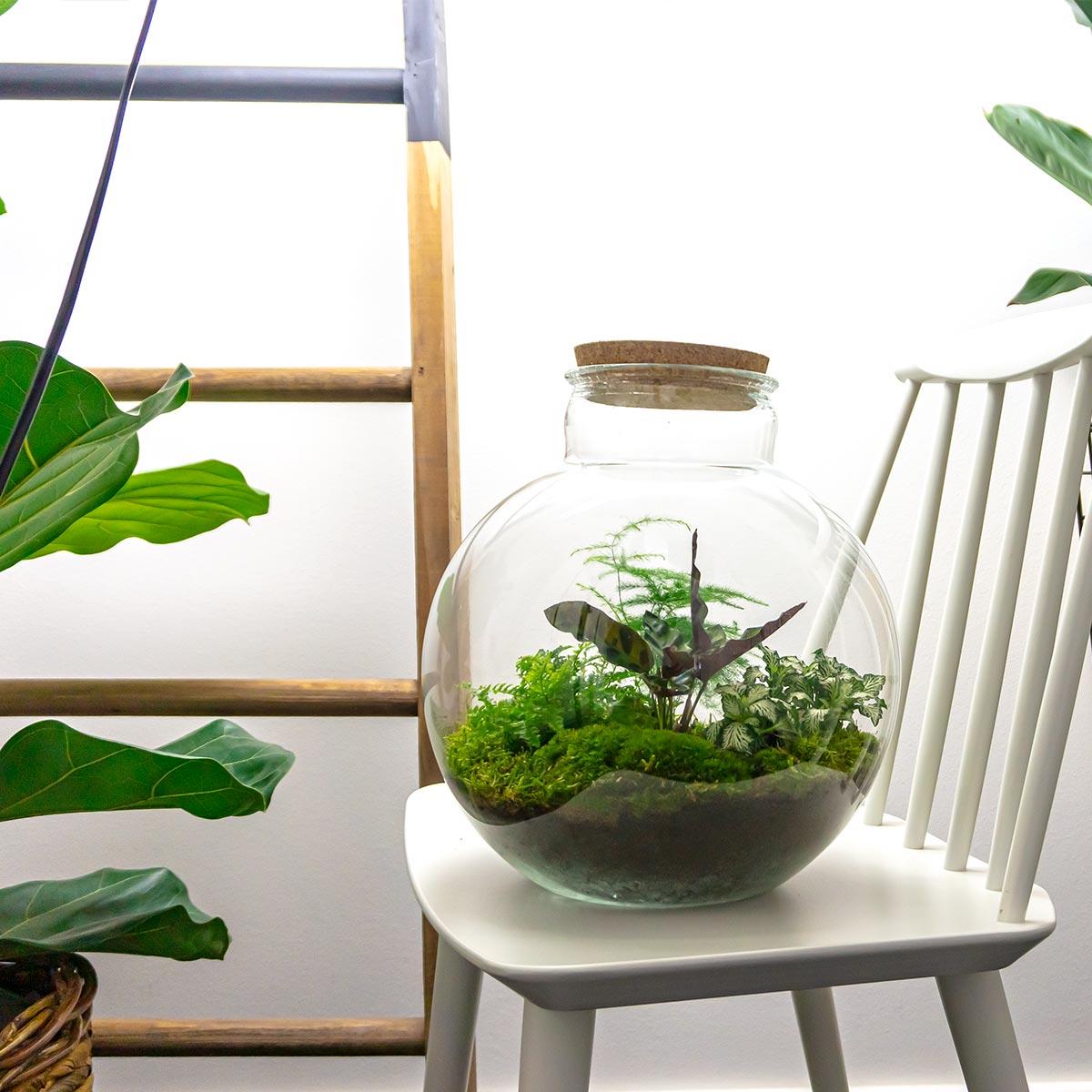 Detailfoto van DIY terrarium Bolder Bob met licht en ledkurk
