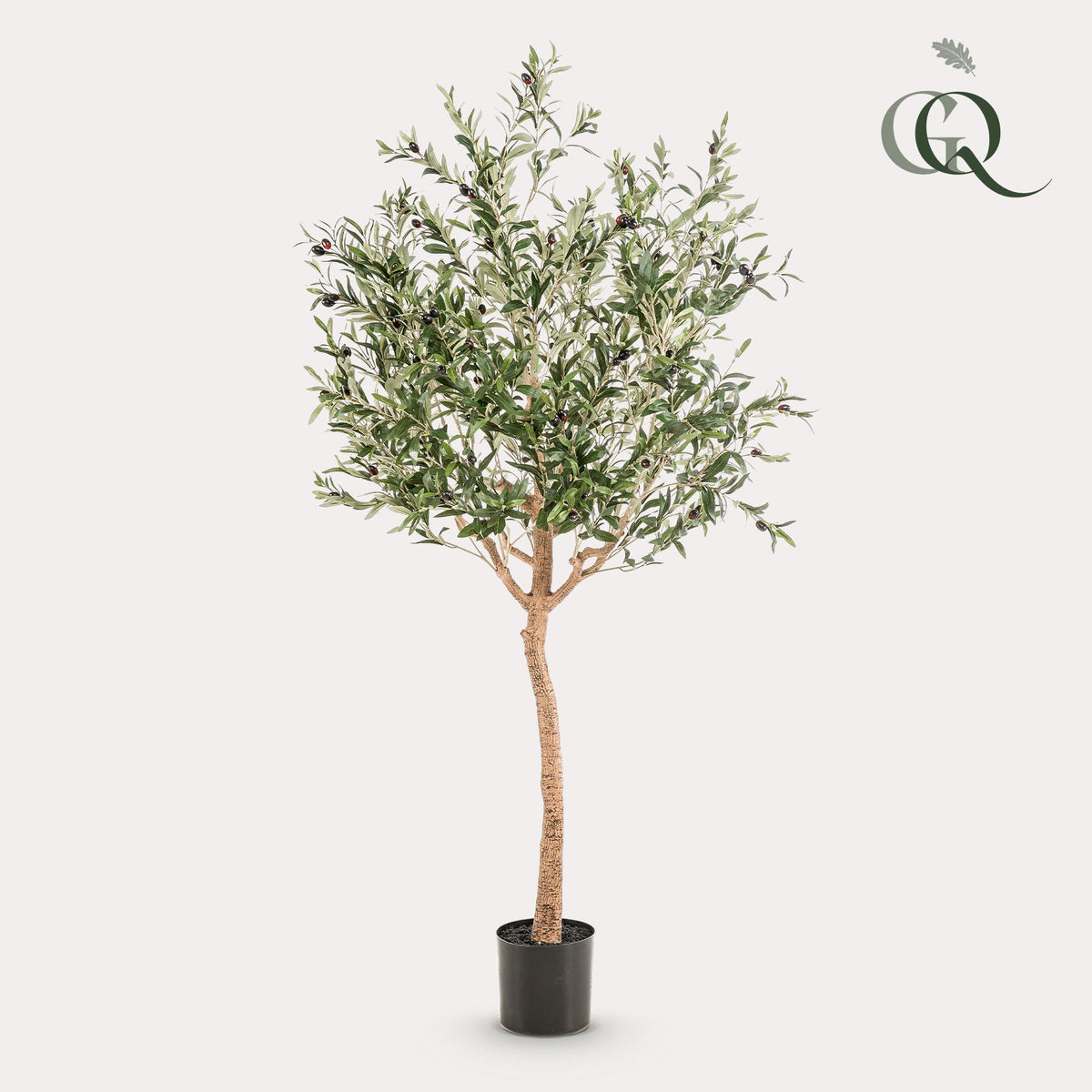 Productafbeelding van Pureplant