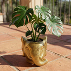 Planter Olifant D11/12x10cm - Goud - D11/12x10cm, plant in pot