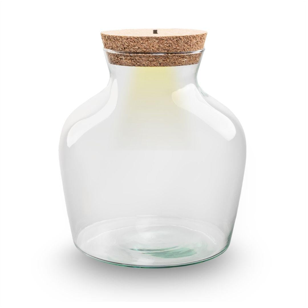 Terrarium fles met verlichting - Little Joe, groene bladeren