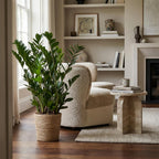 Zamioculcas Zamiifolia met Zeegras mand naturel, plant in pot