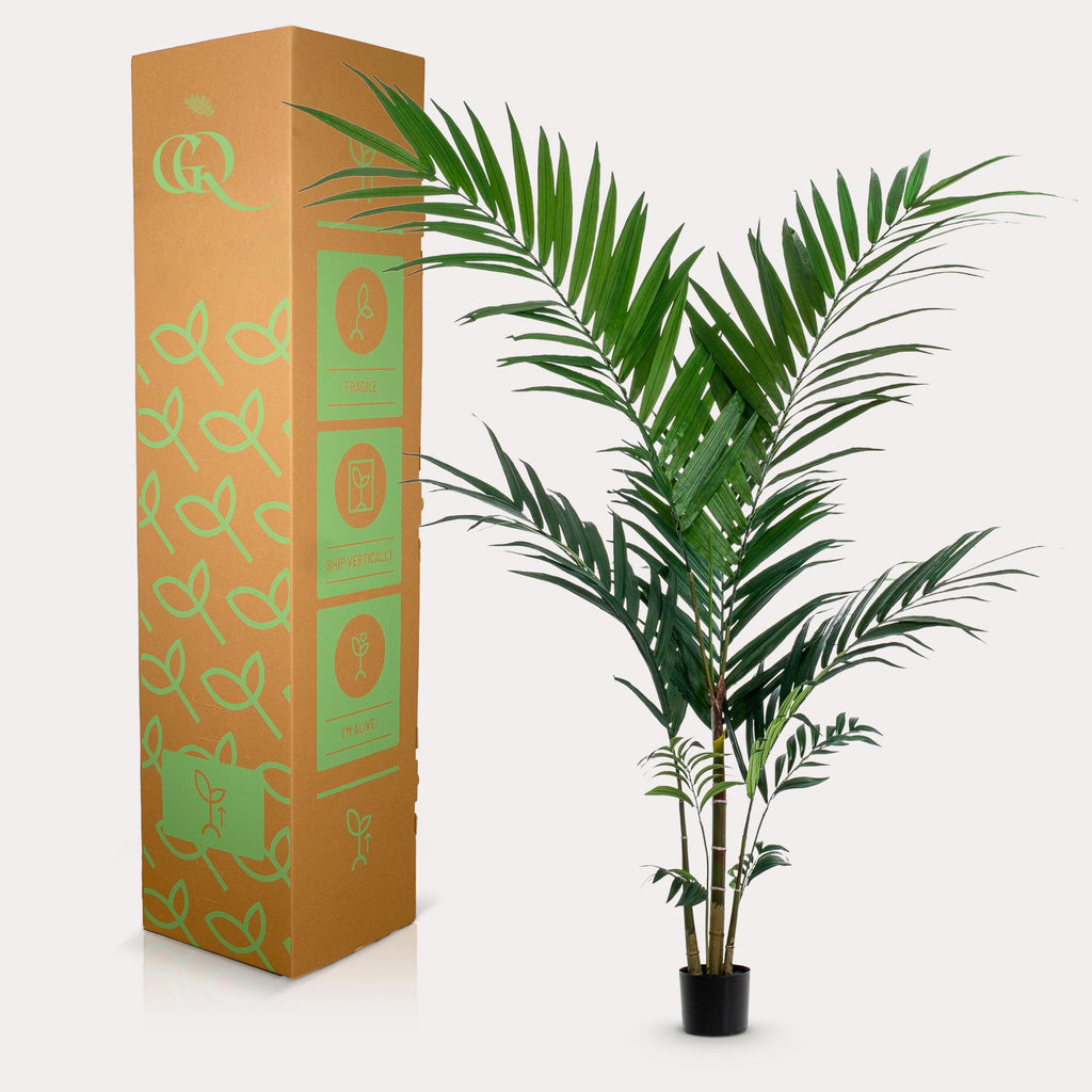 Productafbeelding van Pureplant