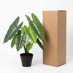 Kunstplant Alocasia Polly, kenmerkend blad