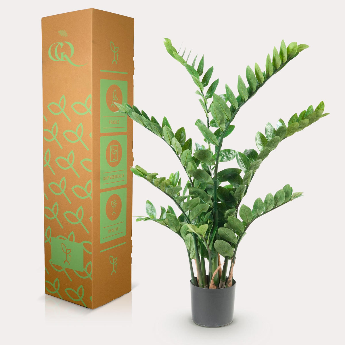 Productafbeelding van Pureplant