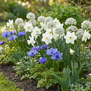 Bloembollen voor de zonnige tuin, Sunny Garden, foto 2