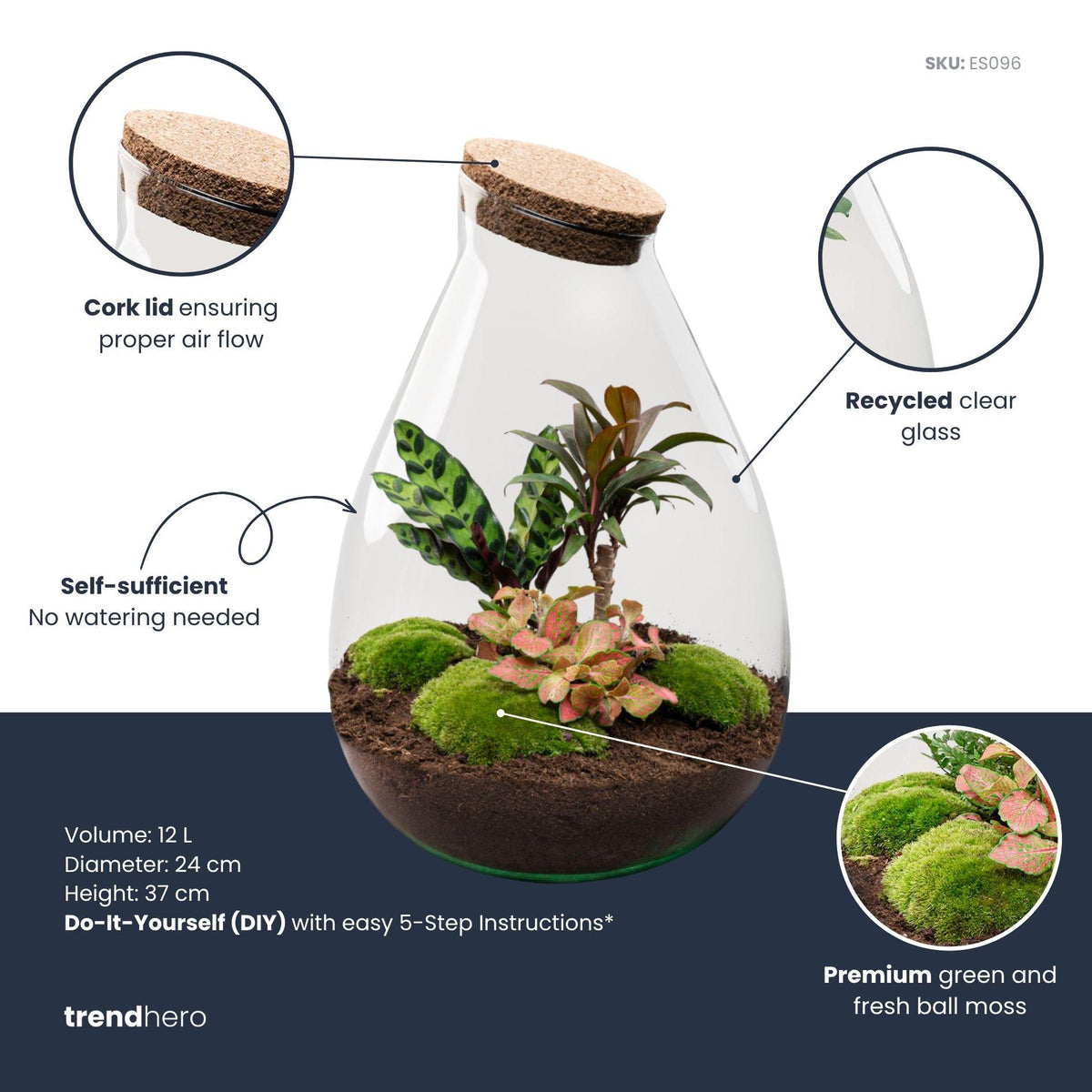 Detailfoto van DIY Planten terrarium - Drop XL Palm - Zonder gereedschap