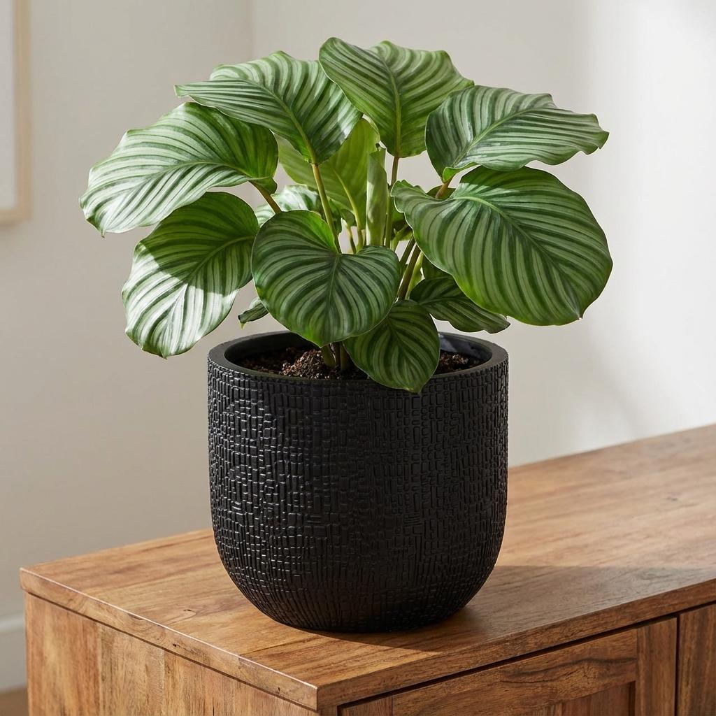 Detailfoto van Capi Nature Skin bolvormige pot, antraciet, Ø24 cm, H21 cm