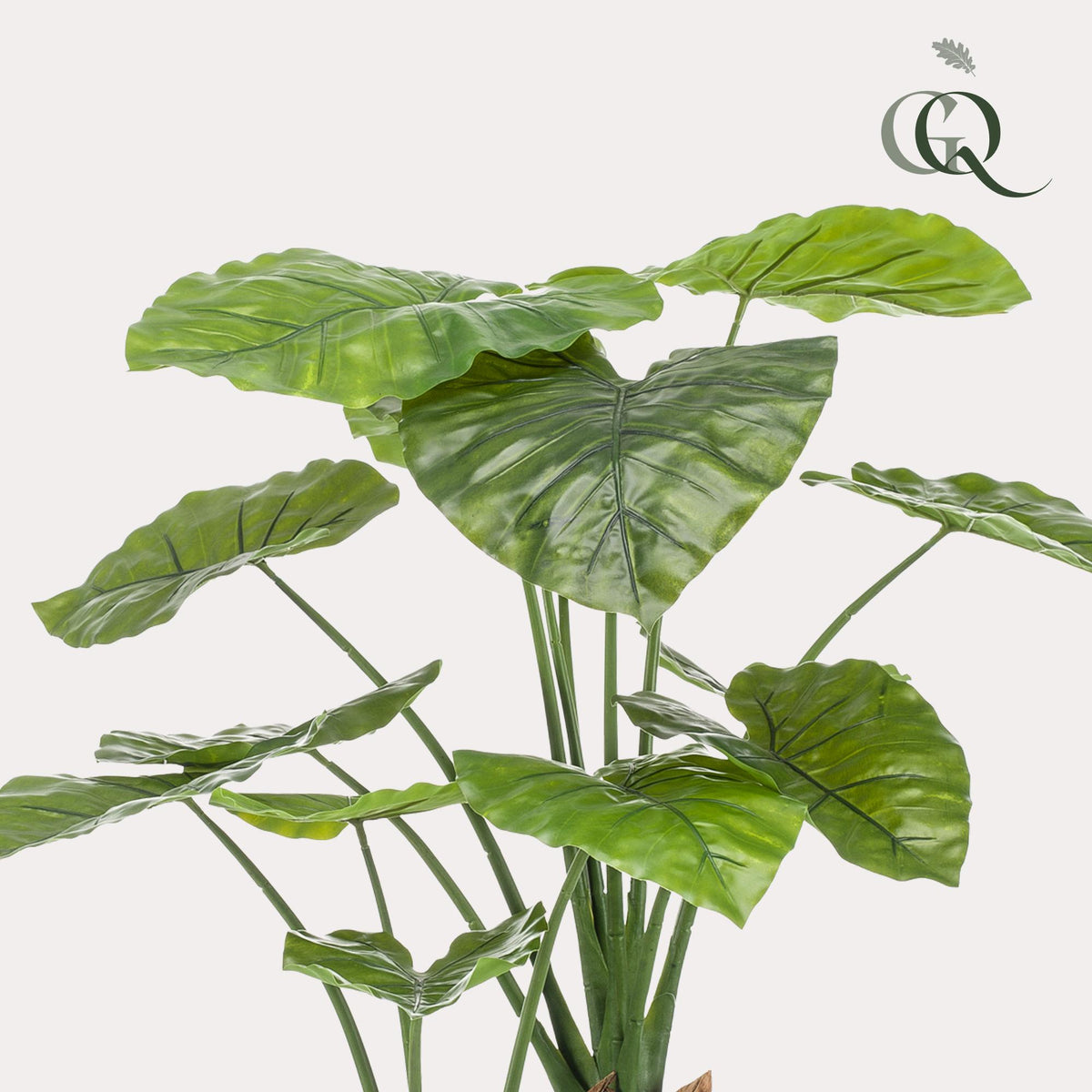 kunstplant - Alocasia - Olifantsoor, detail van het blad