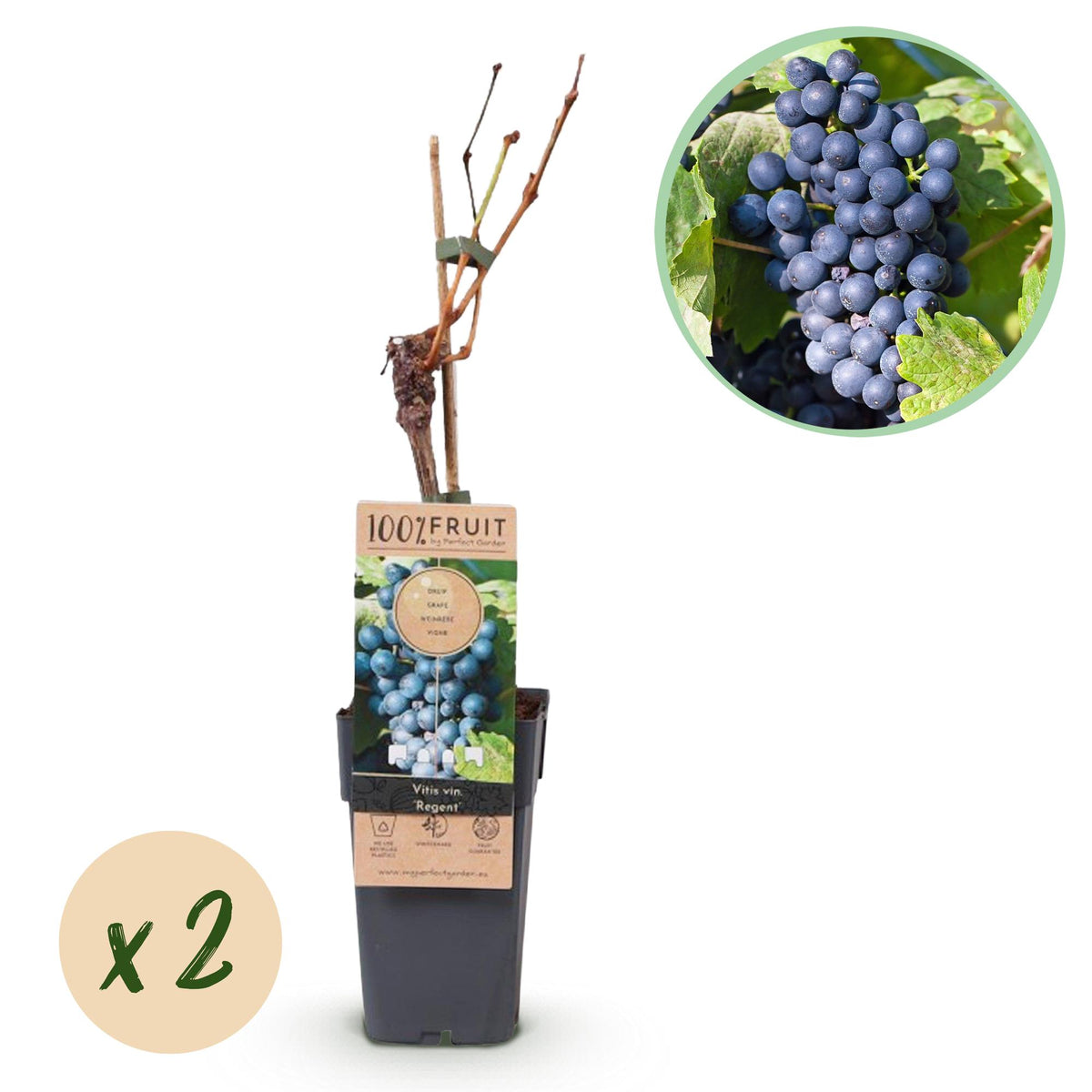 Productafbeelding van Pureplant