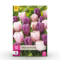 Tulp Macron mix, detail van het blad