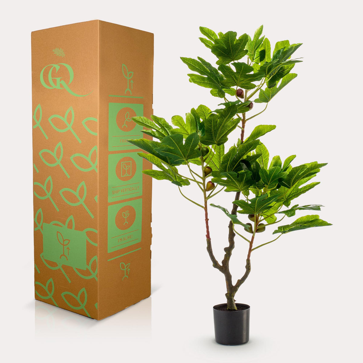 Productafbeelding van Pureplant