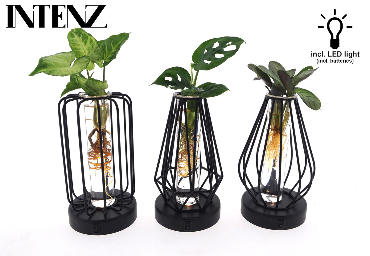 Productfoto van Mix in Turijn Glas + Led - 3 stuks