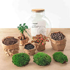 Productafbeelding van Pureplant