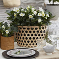 Productfoto van Kerstroos