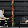 2 x Pyracantha coccinea Red Star