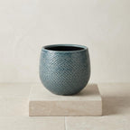 Pot Gabriel rond blauw, gezonde plant